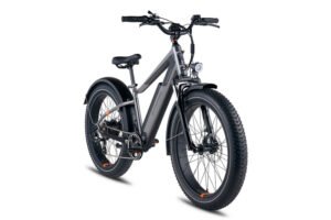 RadRover 6 Plus quarter view
